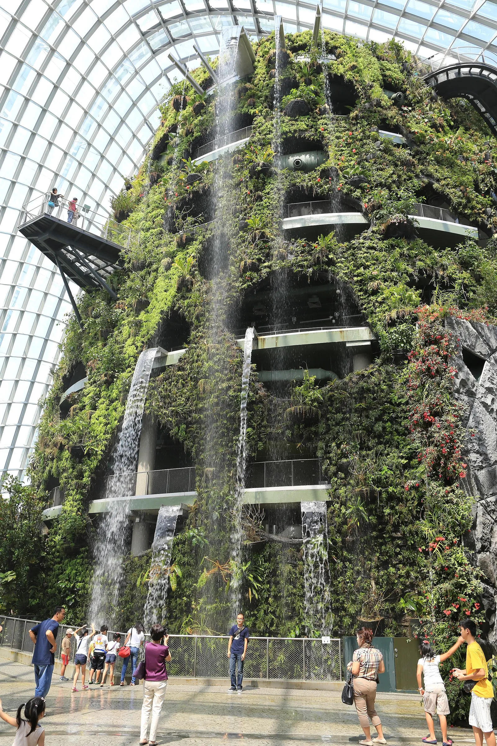 Cloud Forest Waterfall — reference photo