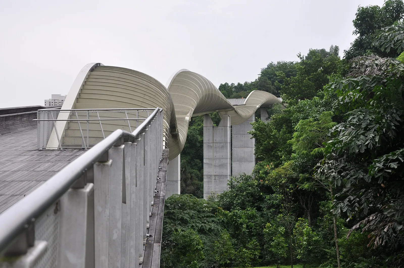 Henderson Waves — reference photo